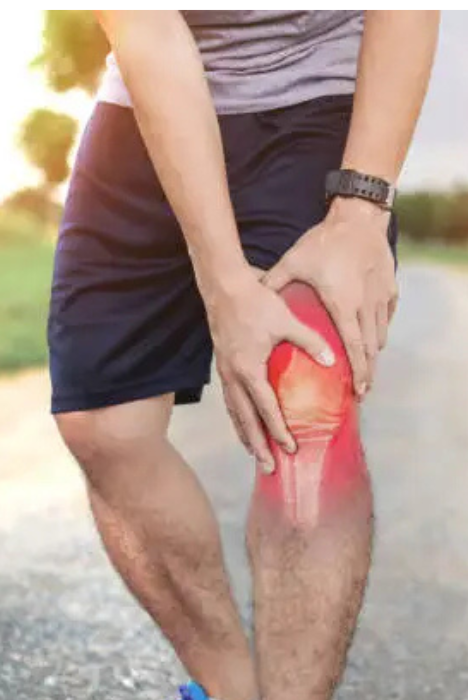 Soporte articular en la articulación de la rodilla
